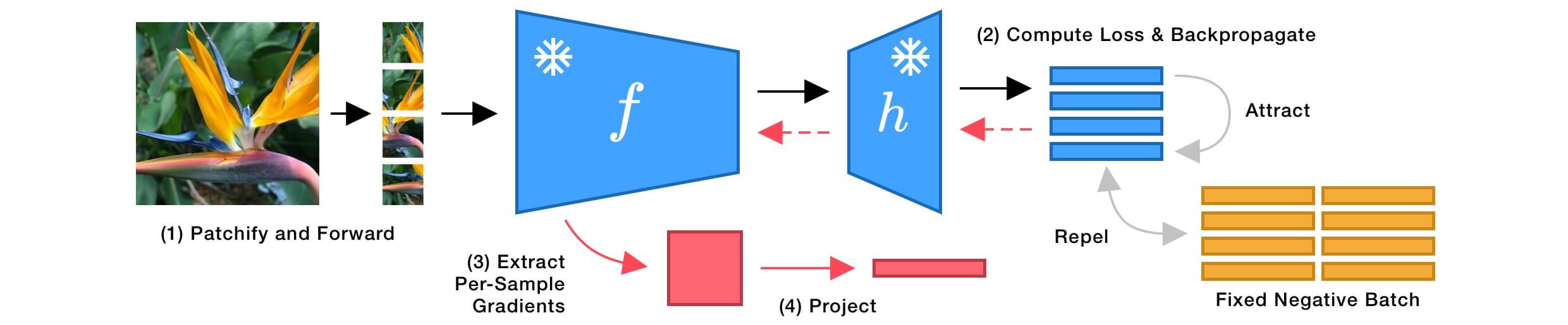 Gradients extraction schematics.