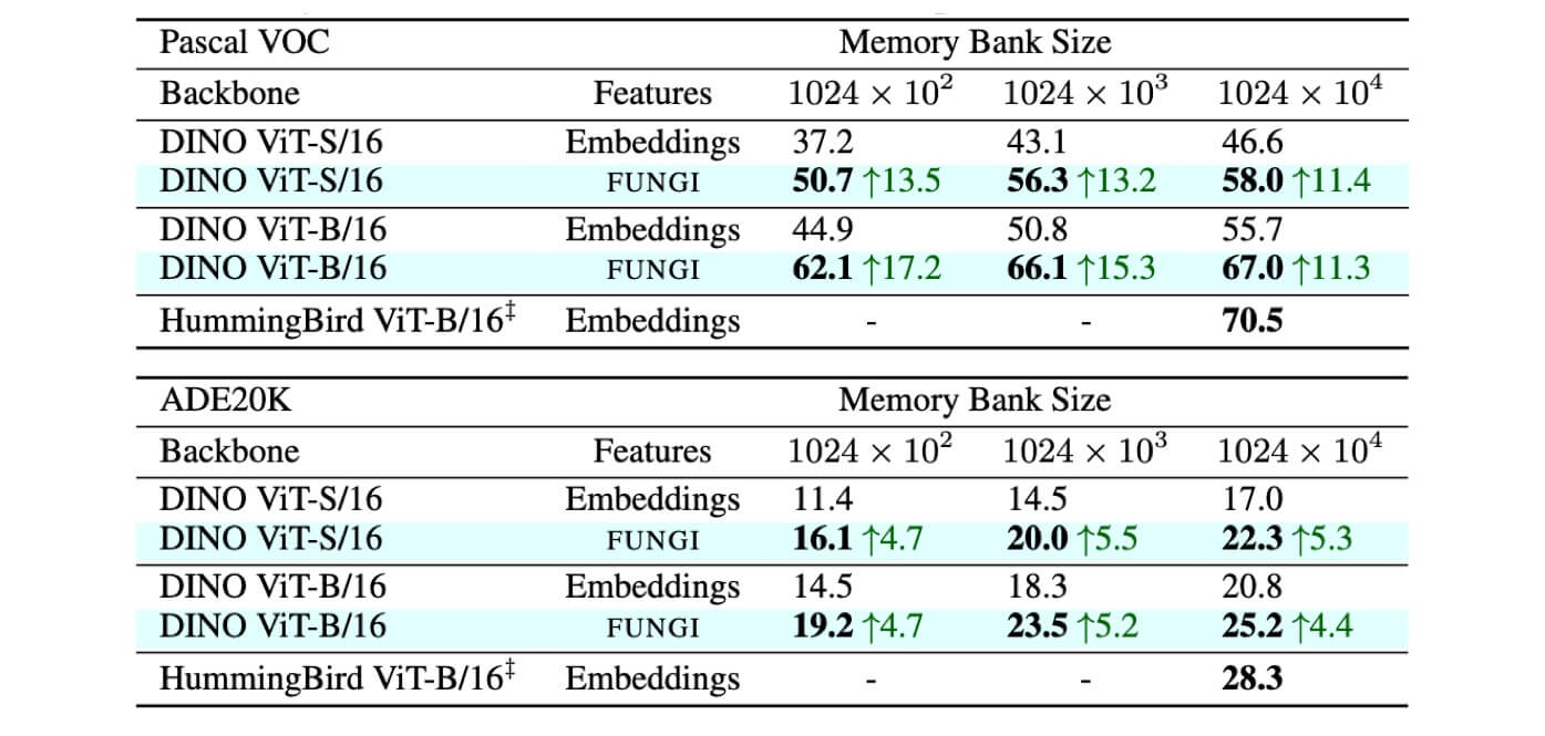 FUNGI features improve in-context semantic segmentation.