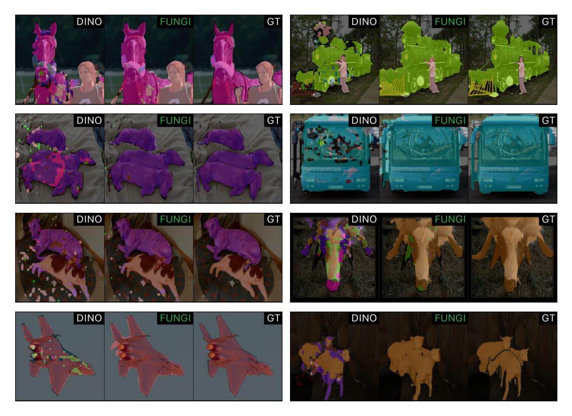 Qualitative evaluation of FUNGI versus DINO features.